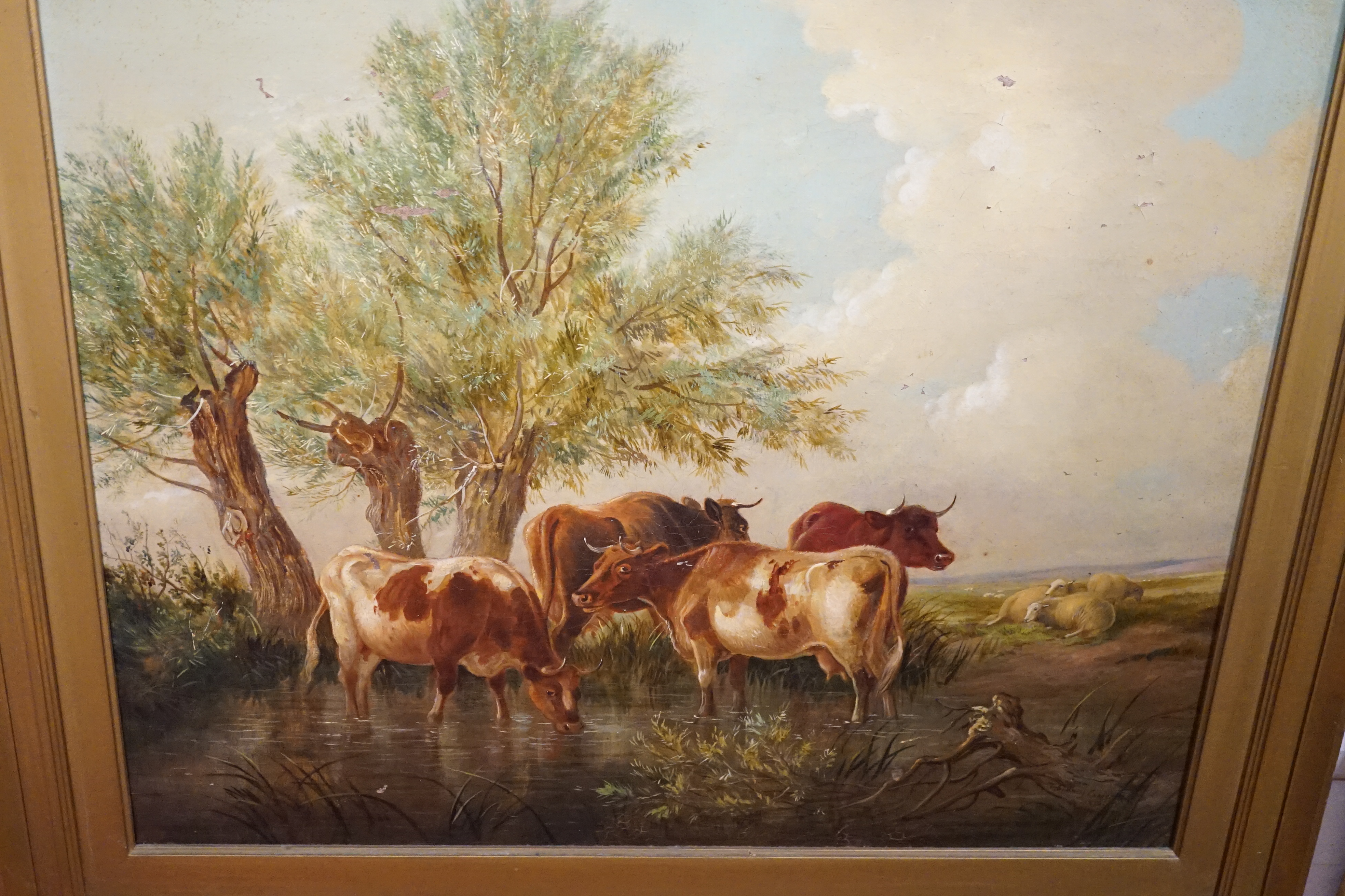 Manner of Thomas Sidney Cooper (1803-1902), oil on canvas, Cattle watering, bears signature and date, 49 x 59cm. Condition - poor